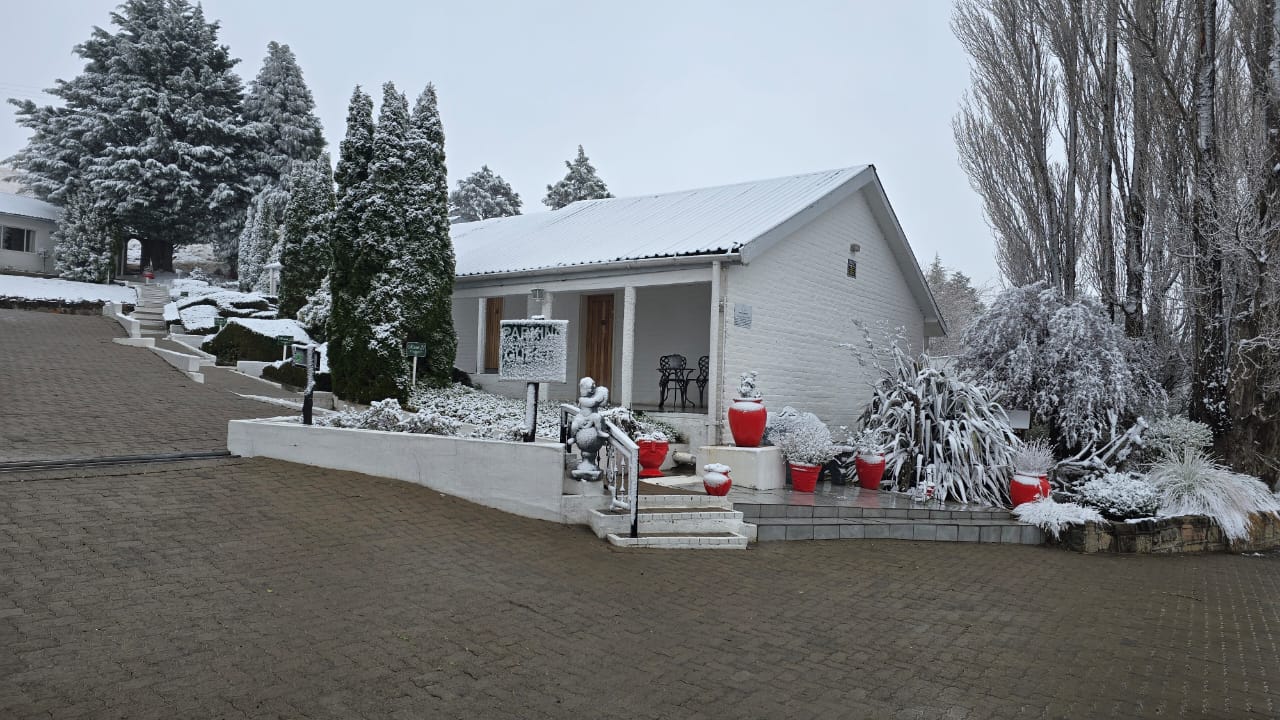 016-891.jpg